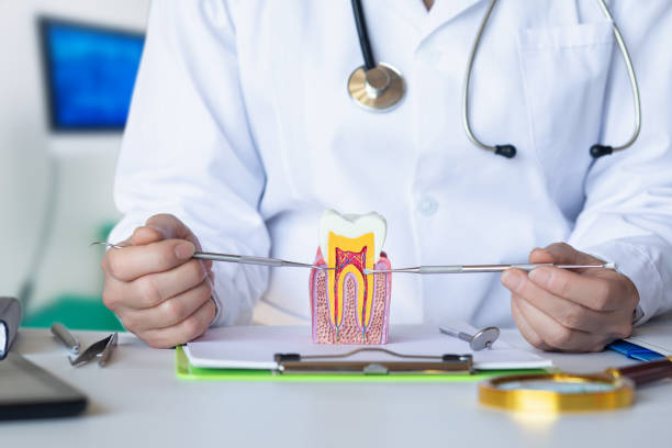 Best Weekend Emergency Dentist in Cobb Island, MD